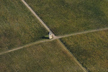 Vignoble du Château Pape Clément